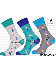 Pánske ponožky More-079-182 sv.sivá 43-46